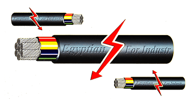 Egyptian Company For Industry